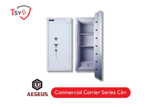 Aegeus Safety Box (Commercial Carrier Series C6+) - TSY Locksmith Selangor & Kuala Lumpur