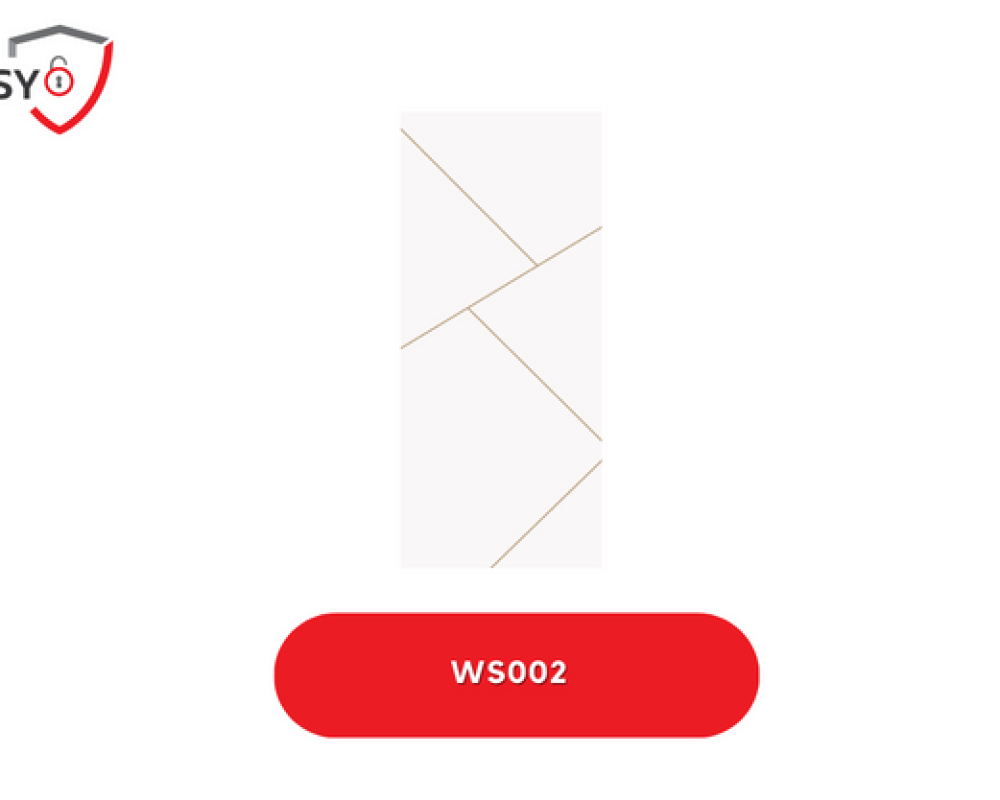 WS002