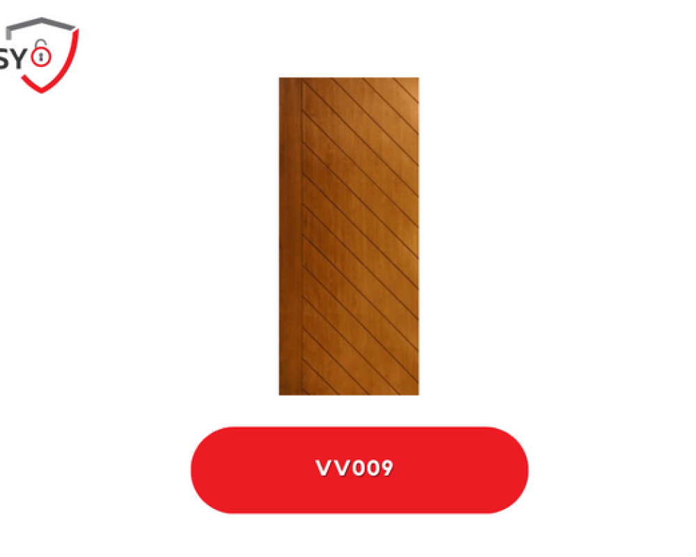 VV009