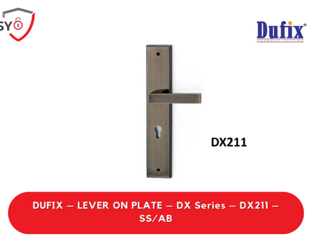 Dufix – Lever On Plate – Dx Series – DX211 – SS/AB