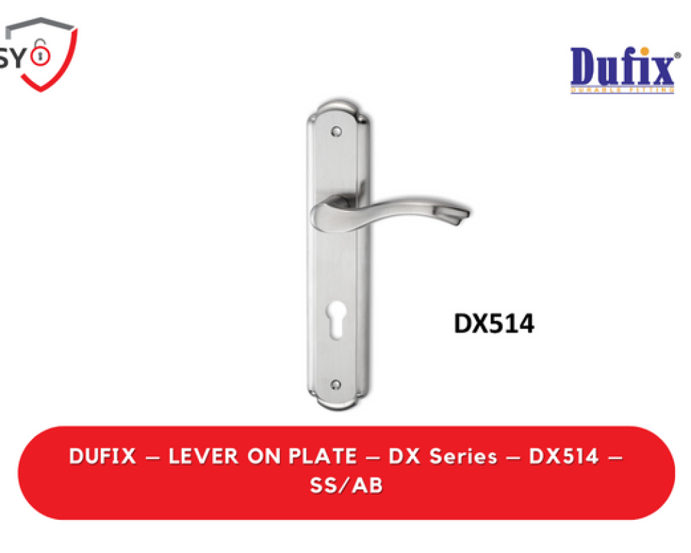 Dufix – Lever On Plate – Dx Series – DX514 – SS/AB