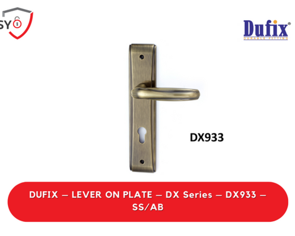 Dufix – Lever On Plate – Dx Series – DX933 – SS/AB