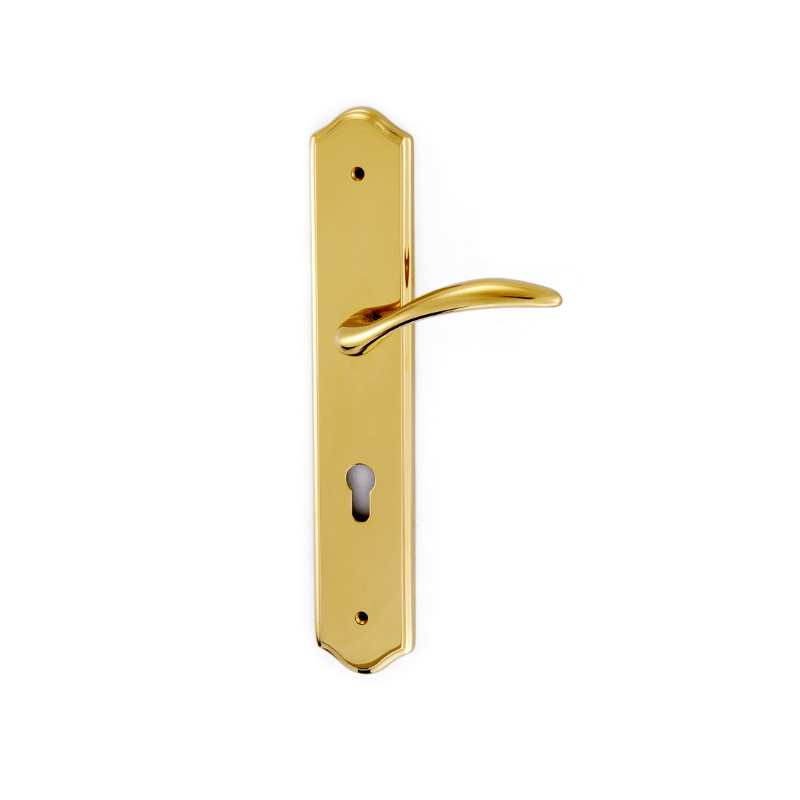 Frascio Lever Handle Plate (Lever Handle Plates) - TSY Locksmith Selangor & Kuala Lumpur